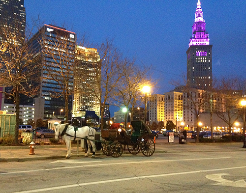 Shamrock Carriage ride